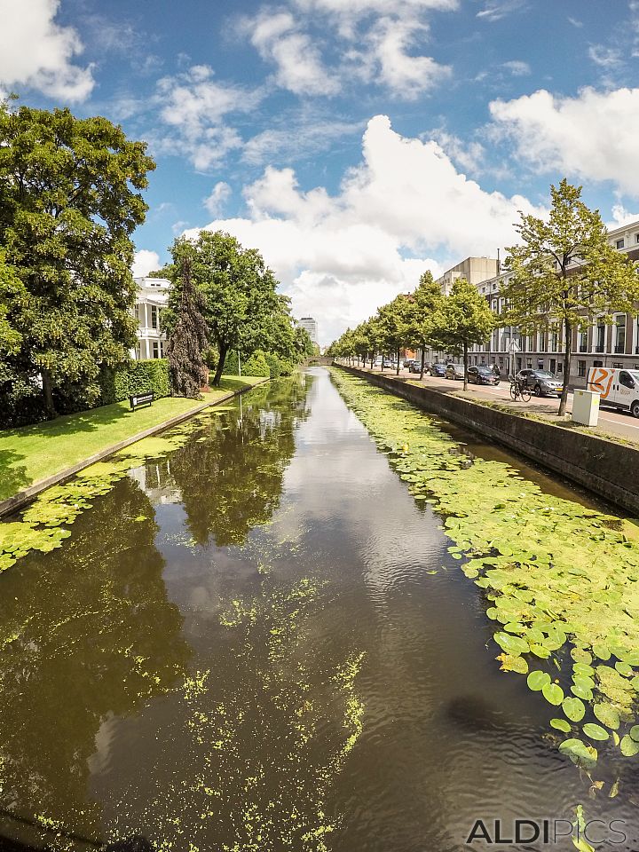 The streets of The Hague