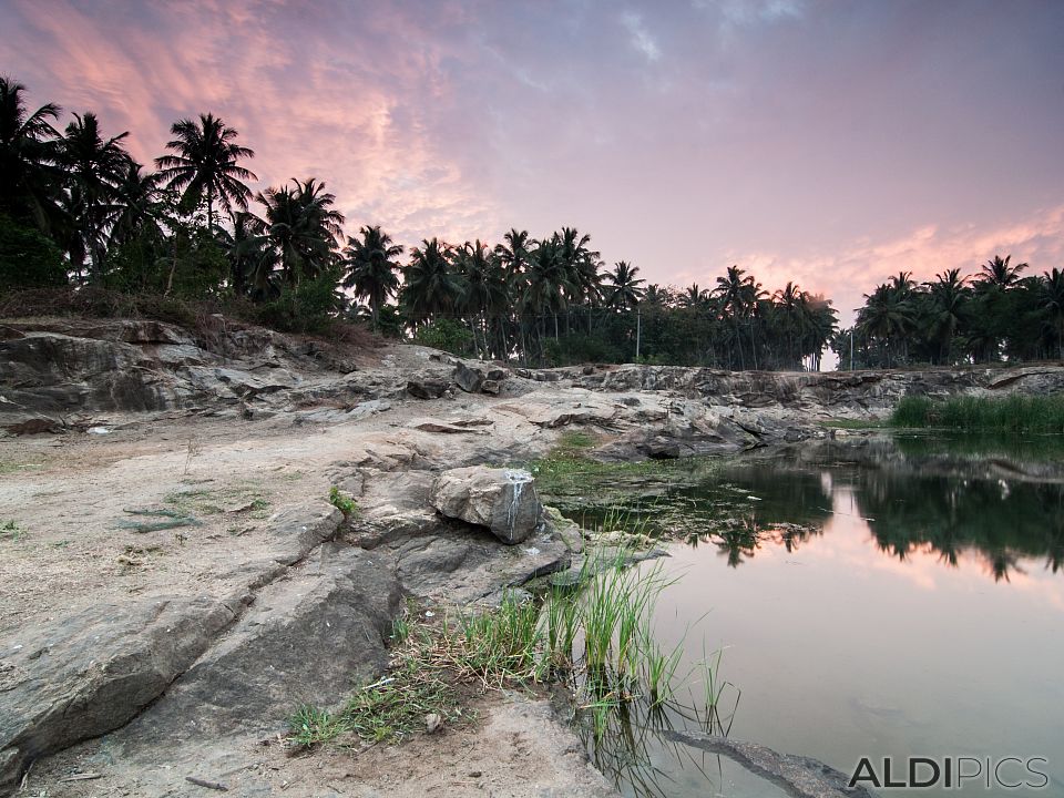 Small pond