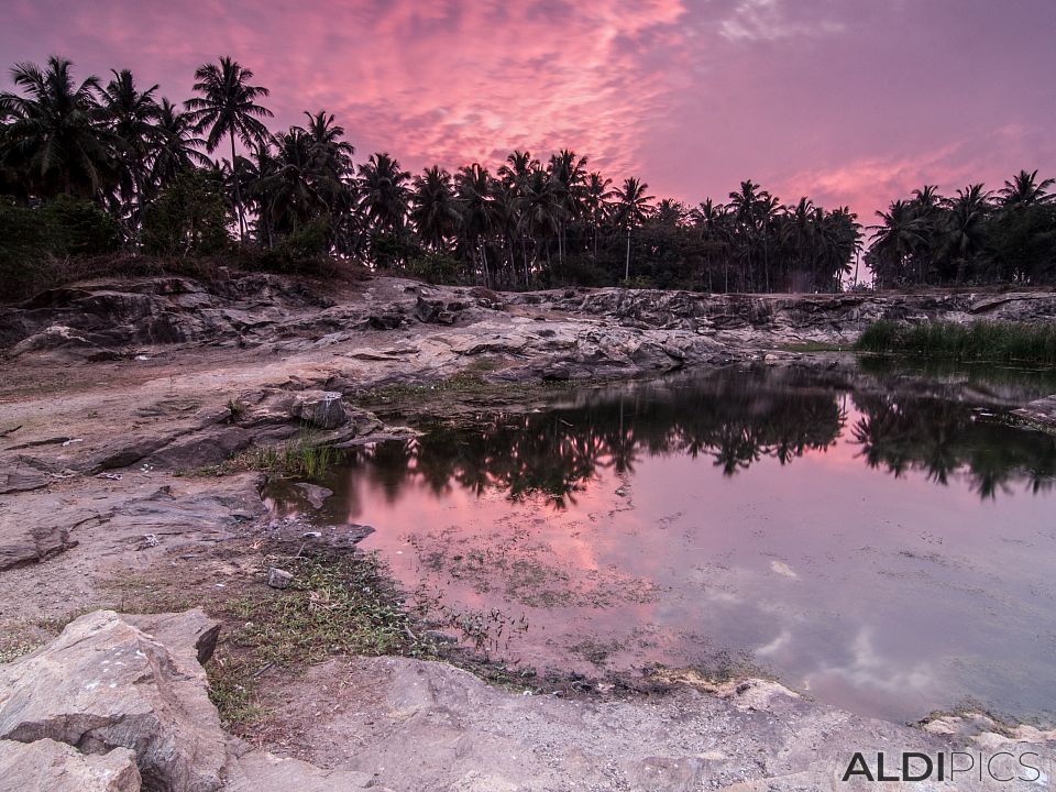 Purple sunset over the pond