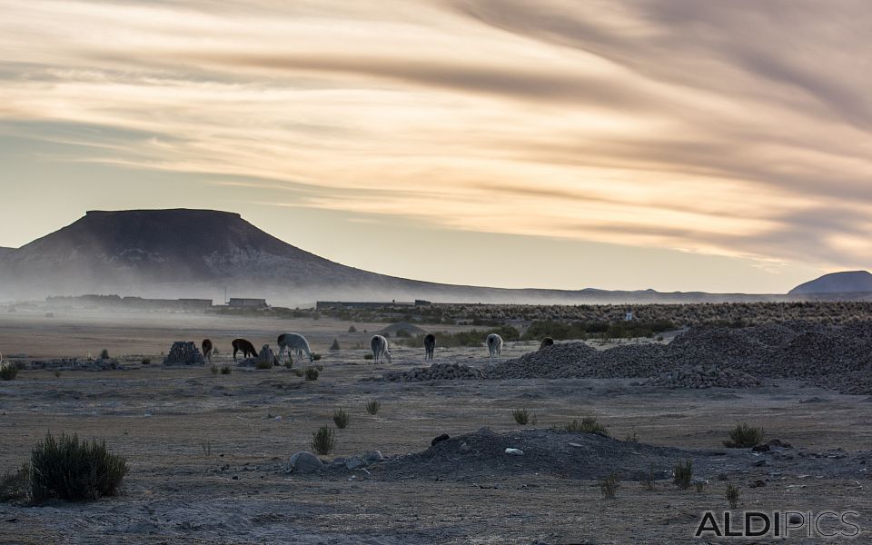 On the road to the salt desert