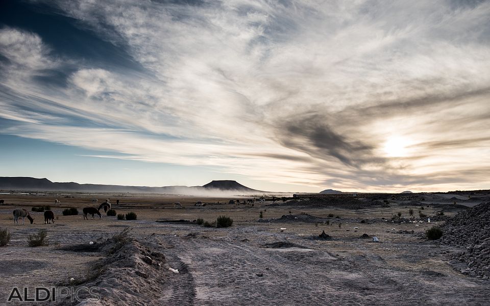 On the way to the salt desert