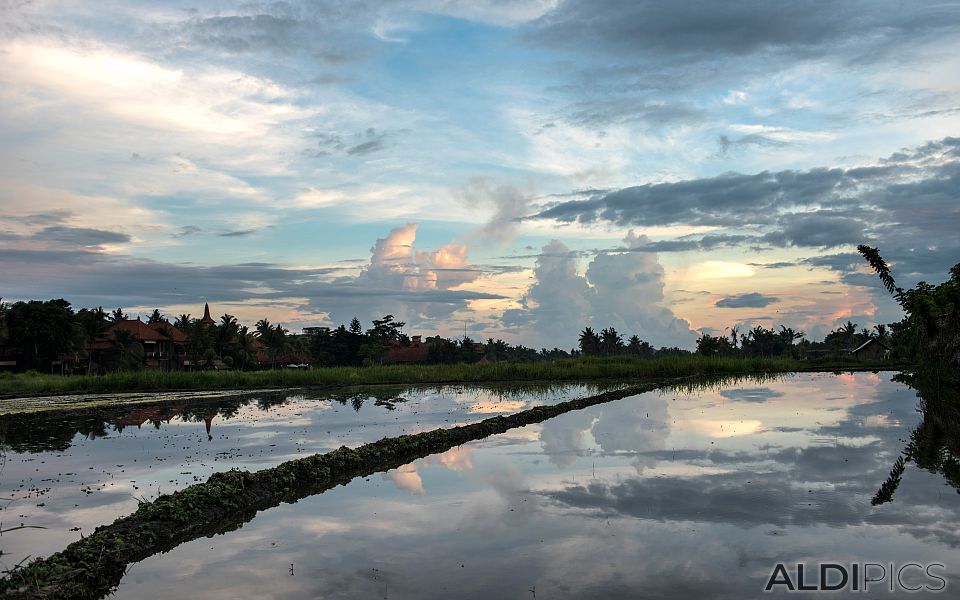 Sunset over Ubud