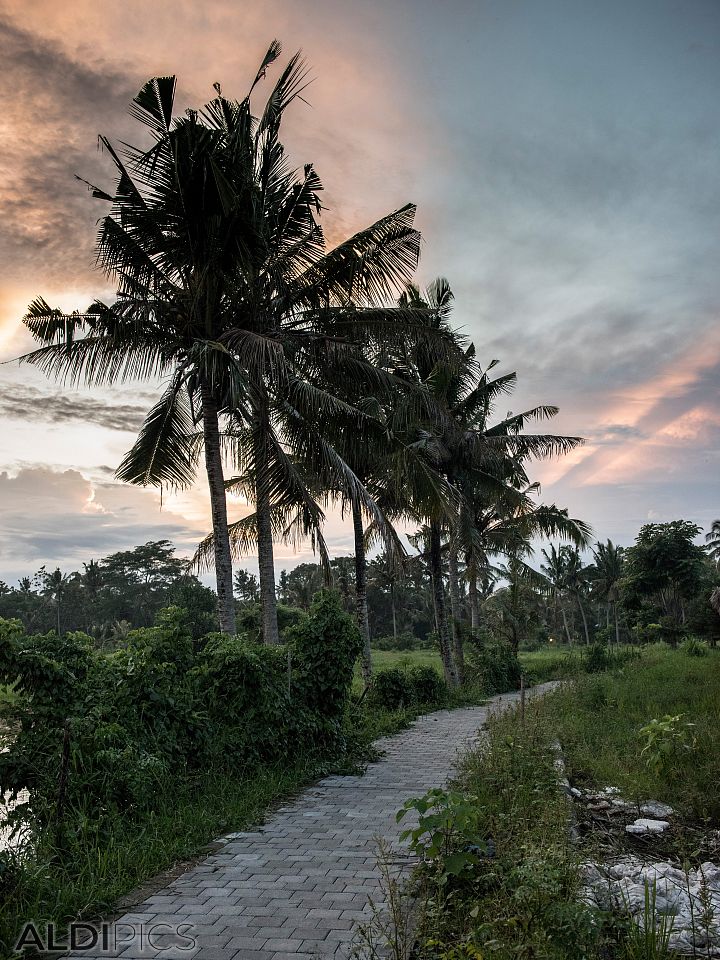 Sunset over Ubud