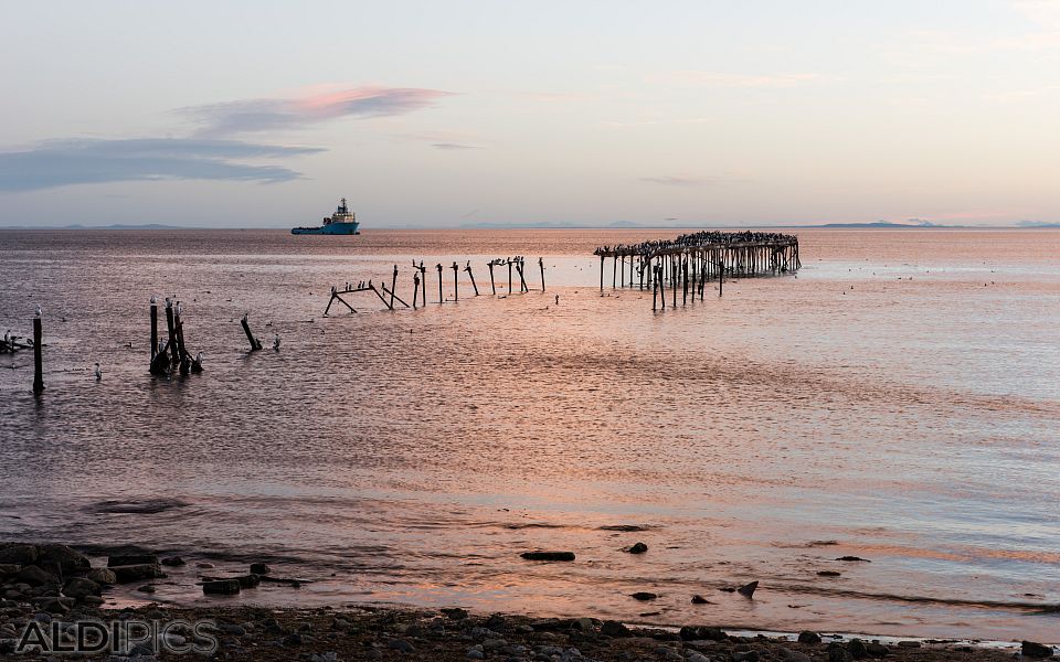 Punta Arenas