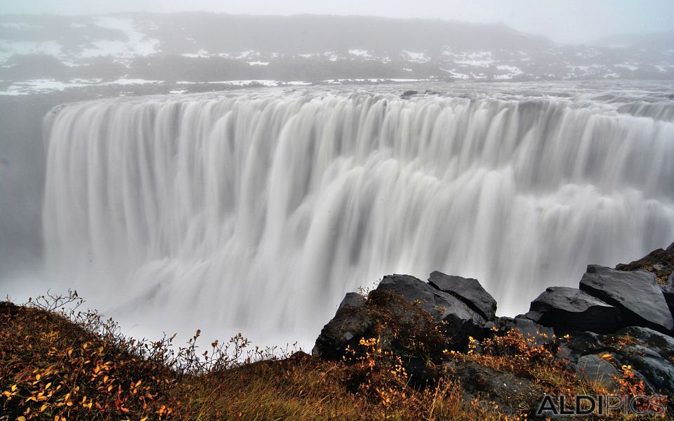 Dettifoss