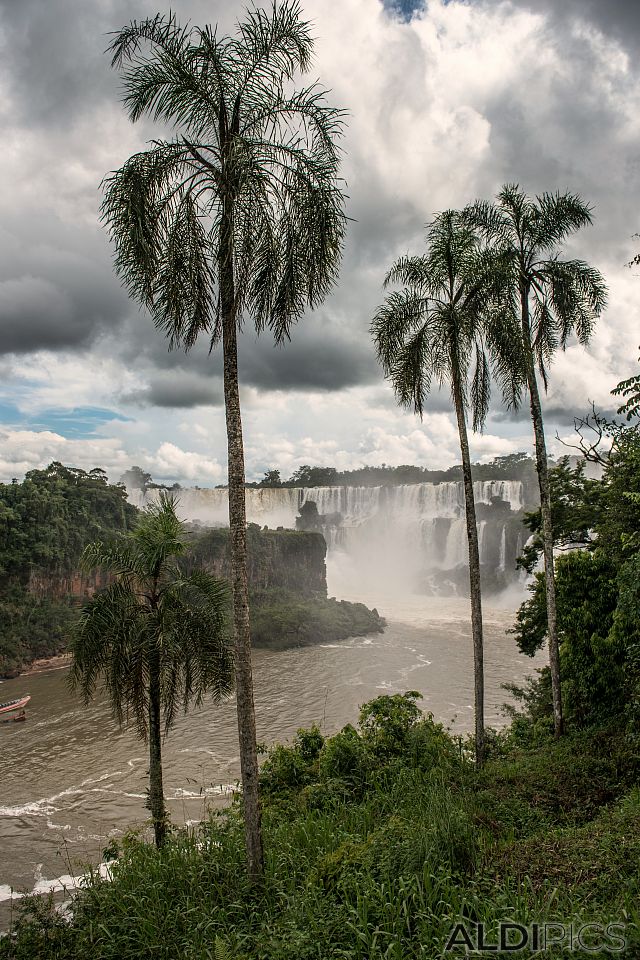 Iguazu