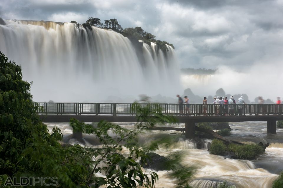 Iguazu