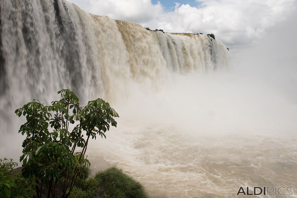 Iguazu