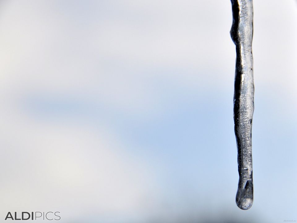 Icicle