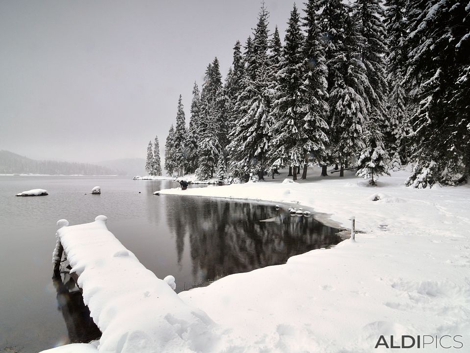 яз. Широка поляна - Зимни пейзажи - dsc_27879.jpg - снимки от aldi.pics