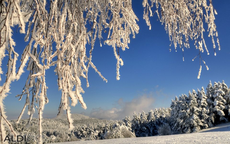 Winter landscapes from Rhodope