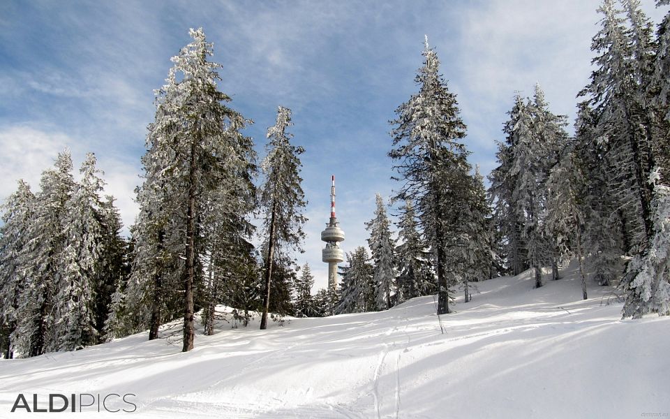 Кулата на Снежанка