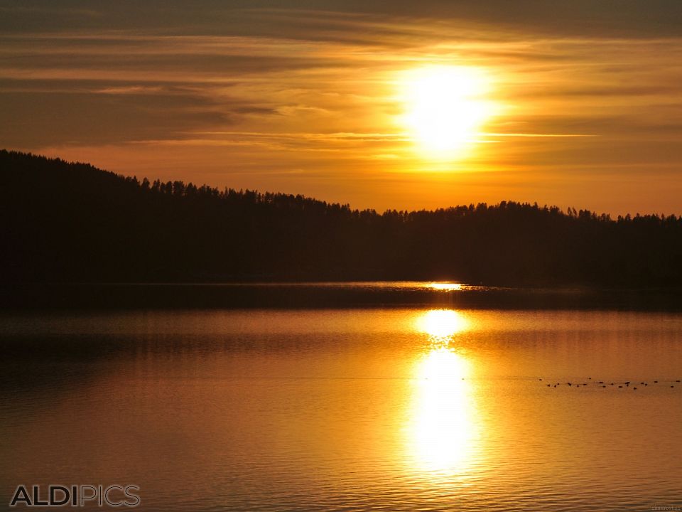 Wild ducks against the sunset