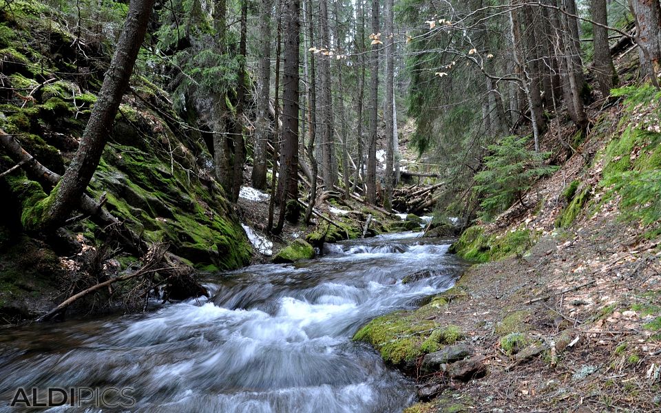 Canyon of waterfalls near Smolyan