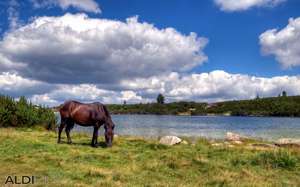 Bezbog Lake