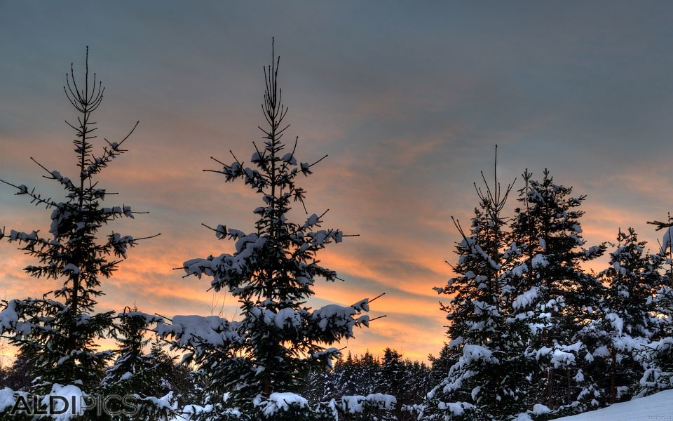 Icy Morning at Tsigov Chark