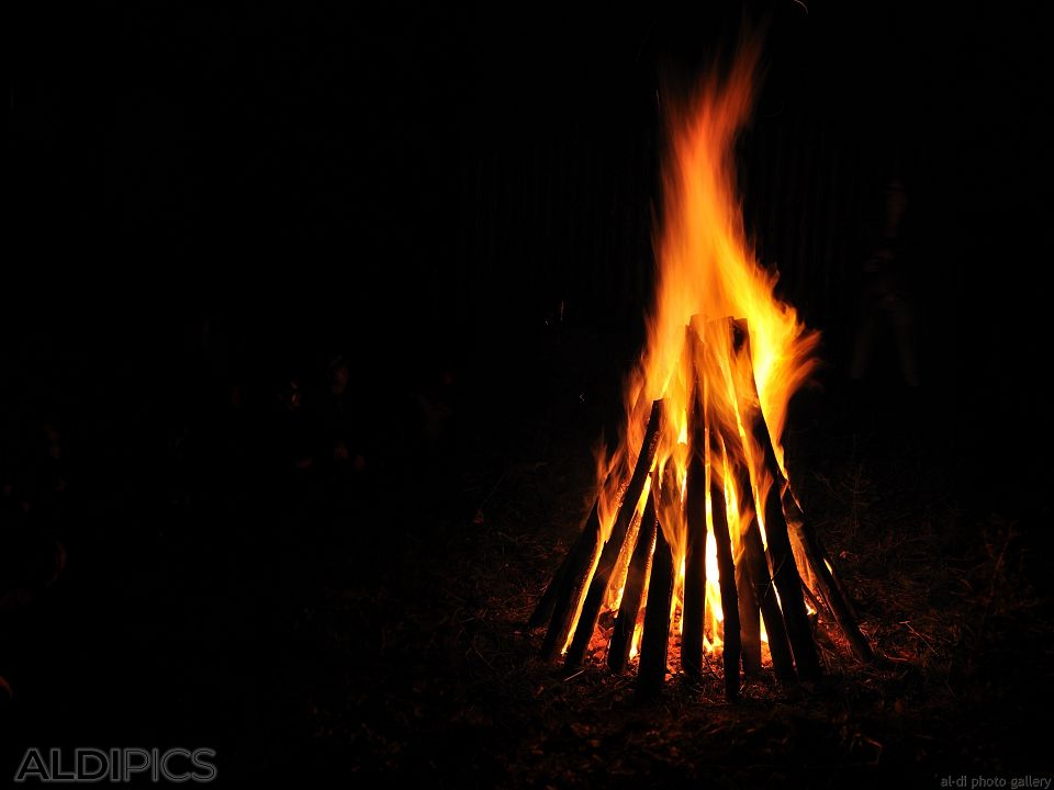 Campfire in night