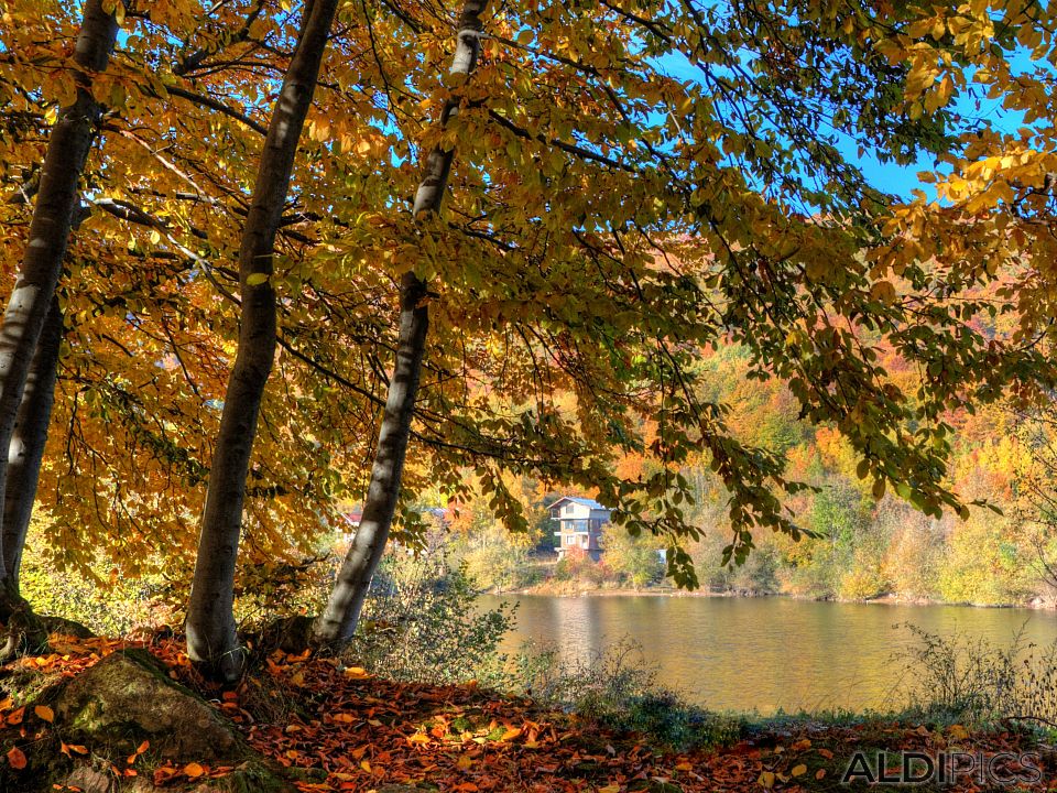 Autumn in Rhodopes near Rosovo village