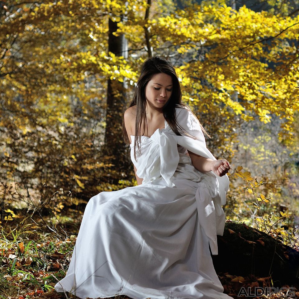 Fairies girls in autumn forest