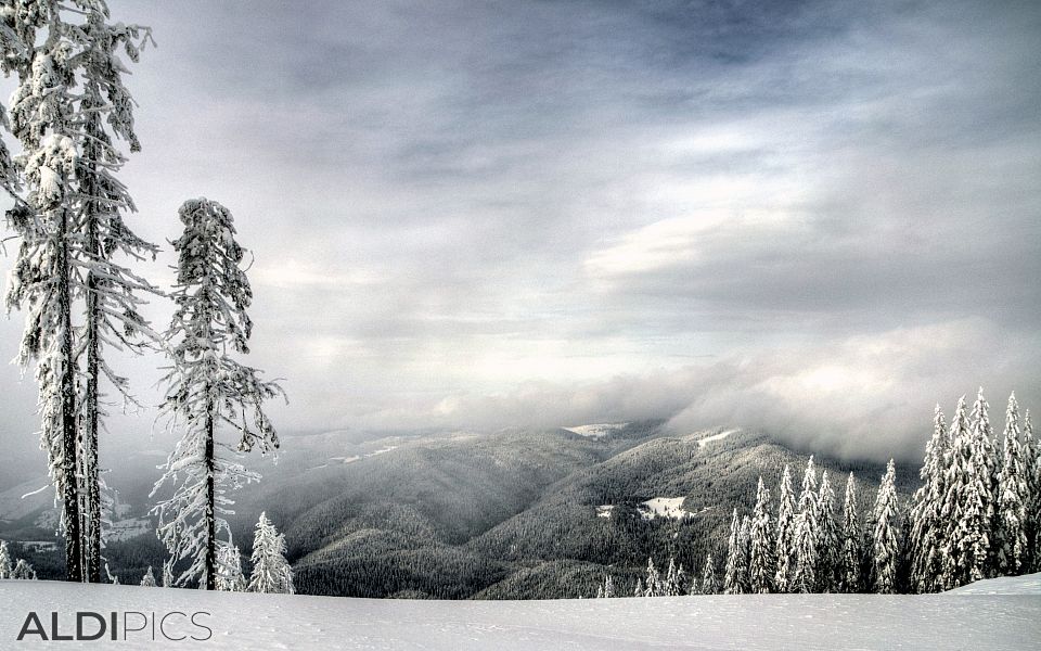 Frosty view of the Rhodopes