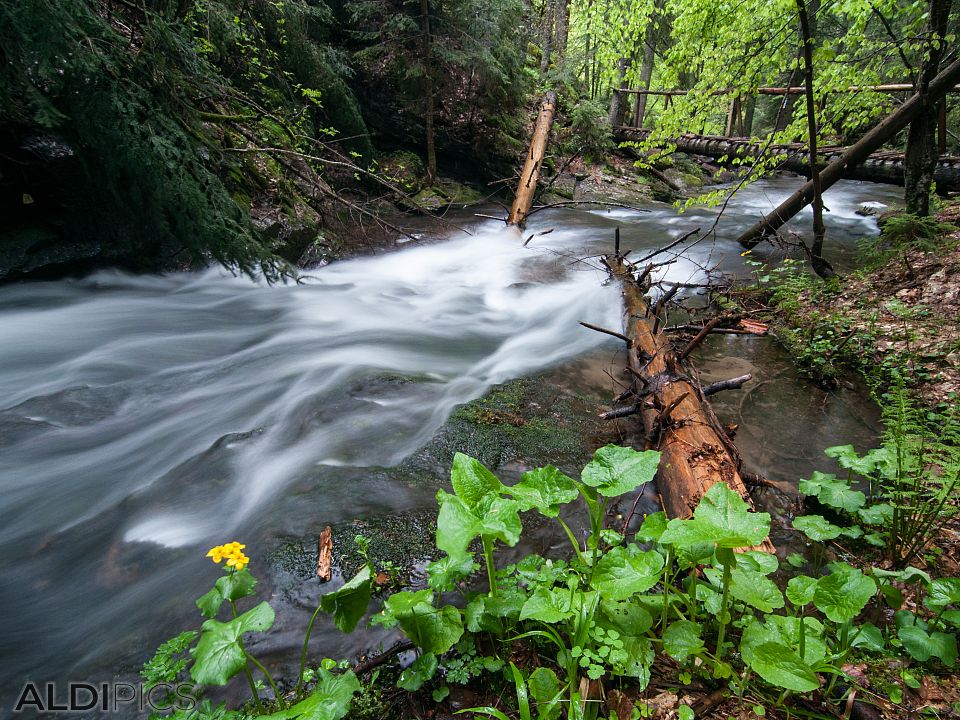 "Canyon of waterfalls" near Smolyan