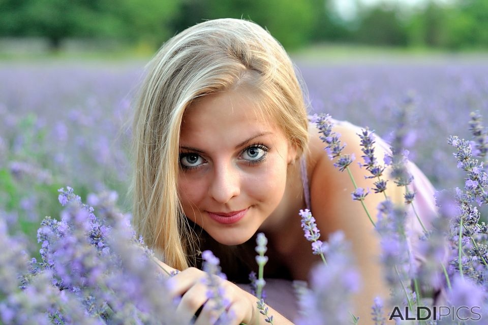 Pickers of lavender 
(model: Nevena Ivancheva)