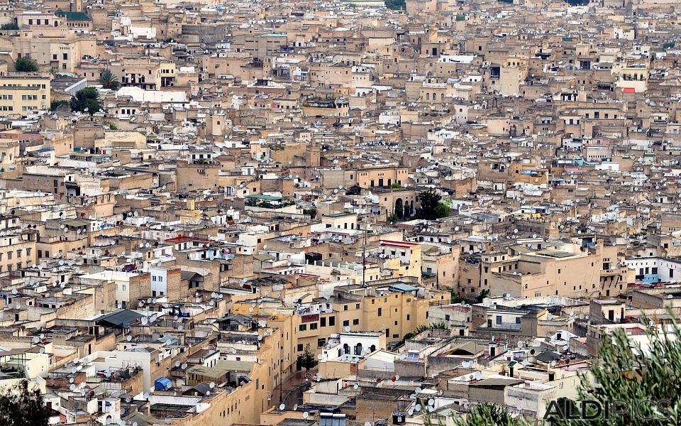 Medina of Fes