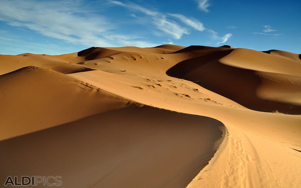 Sand dunes of the Sahara