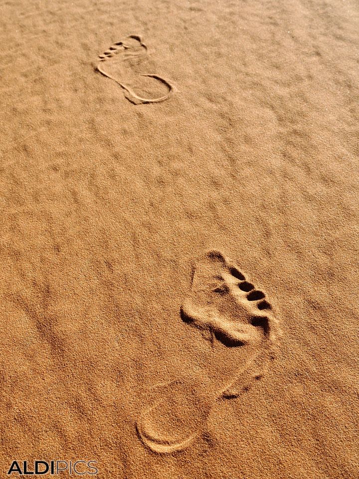 Steps in the Desert