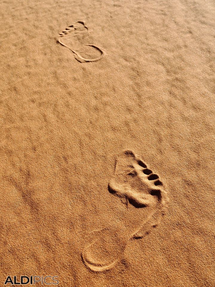 Steps in the Desert