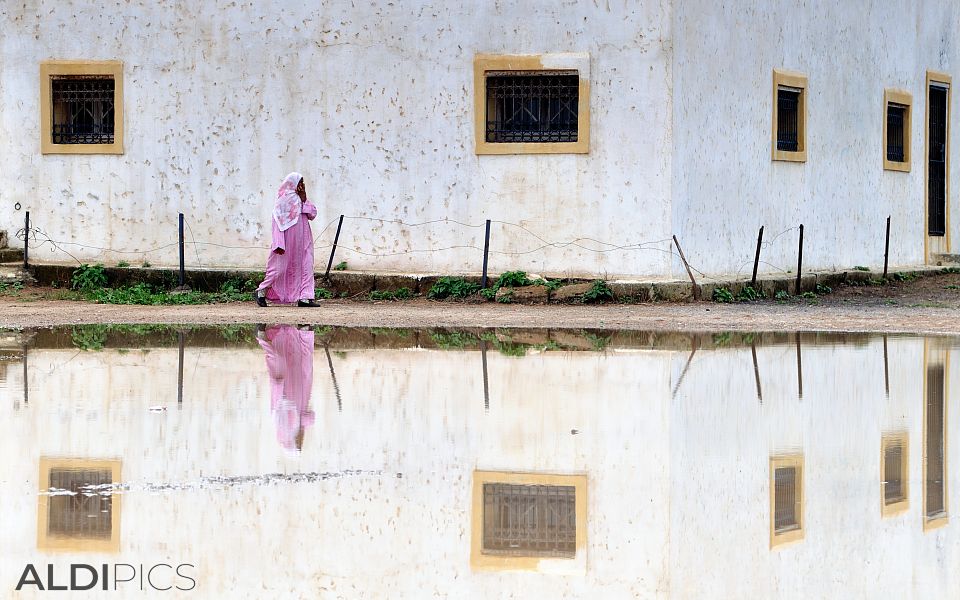 From the streets of Asilah