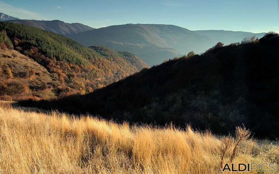 Esen in the Rhodopes