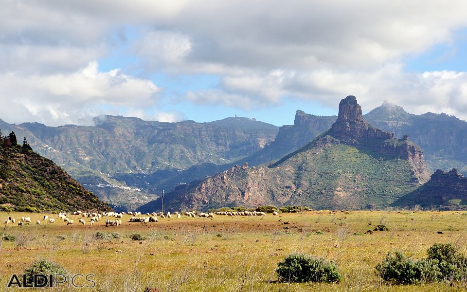 High plateaus and mountains of Gran Canaria