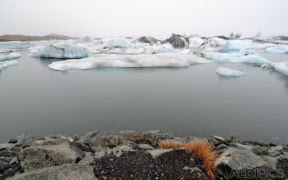 Glacier Lagoon