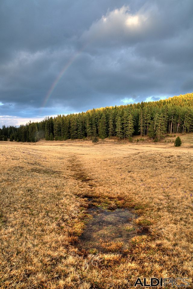 Meadow near Yundola