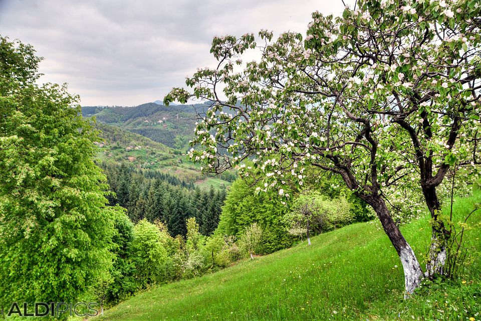 Villages in the Rhodopes