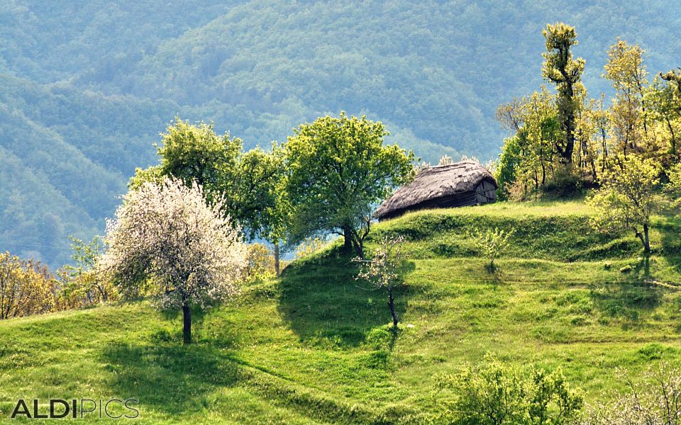 Villages in the Rhodopes