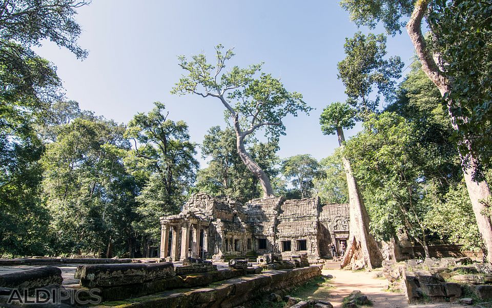 Ancient temples of Cambodia