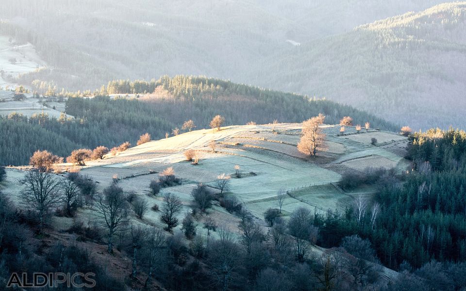 Rhodope Mountains near Sv.Petka village