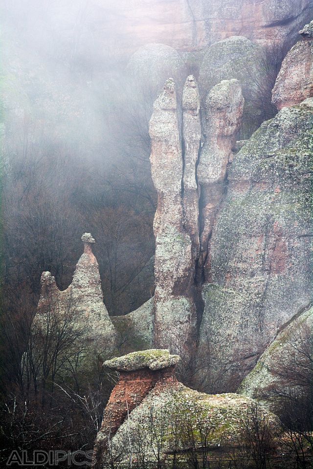 Belogradchik Rocks