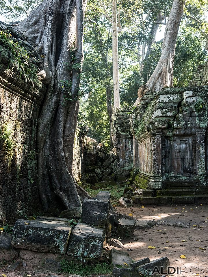 Ancient temples of Cambodia