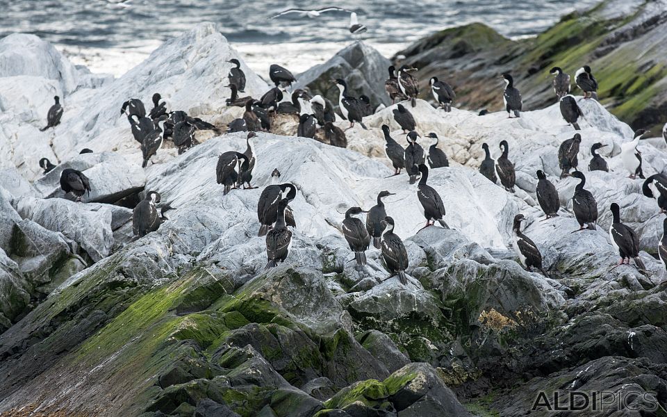 The coast of Ushuaia