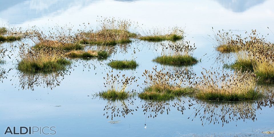 Пейзажи от Атакама