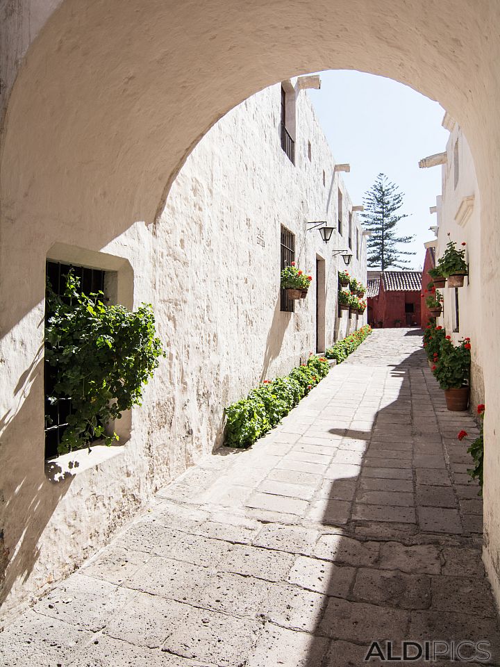 Santa Catalina monastery complex