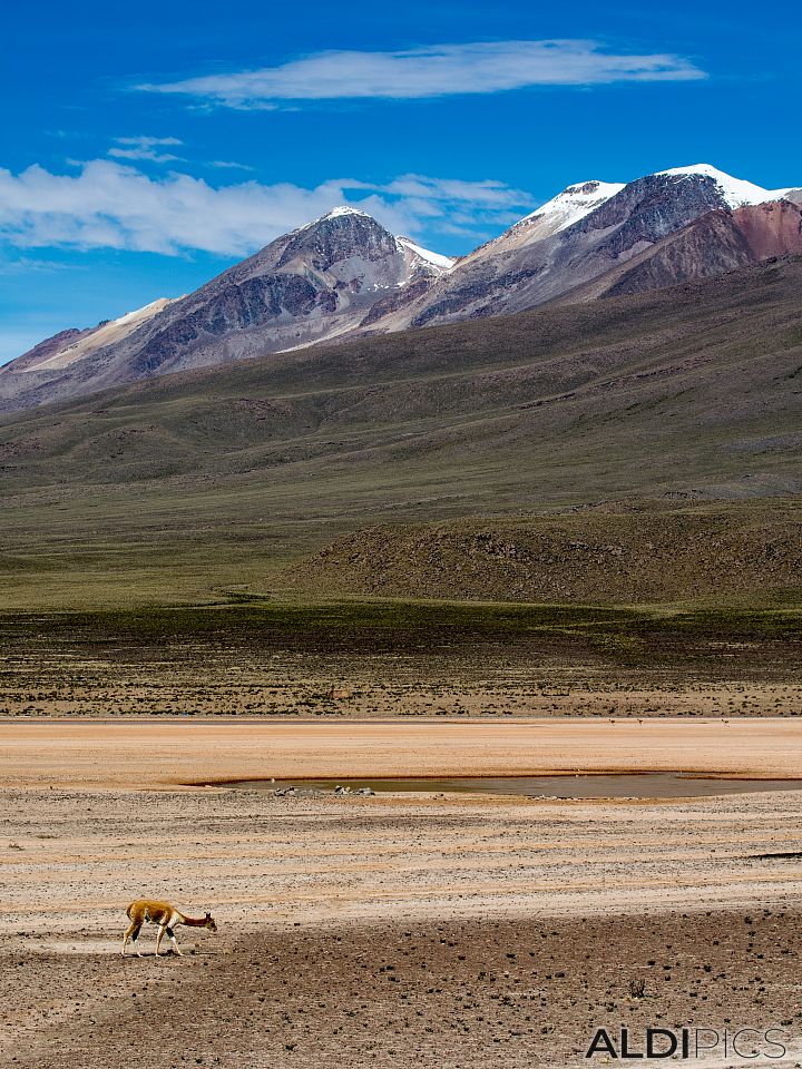 On the way to Colca