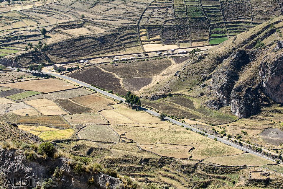 On the way to Colca