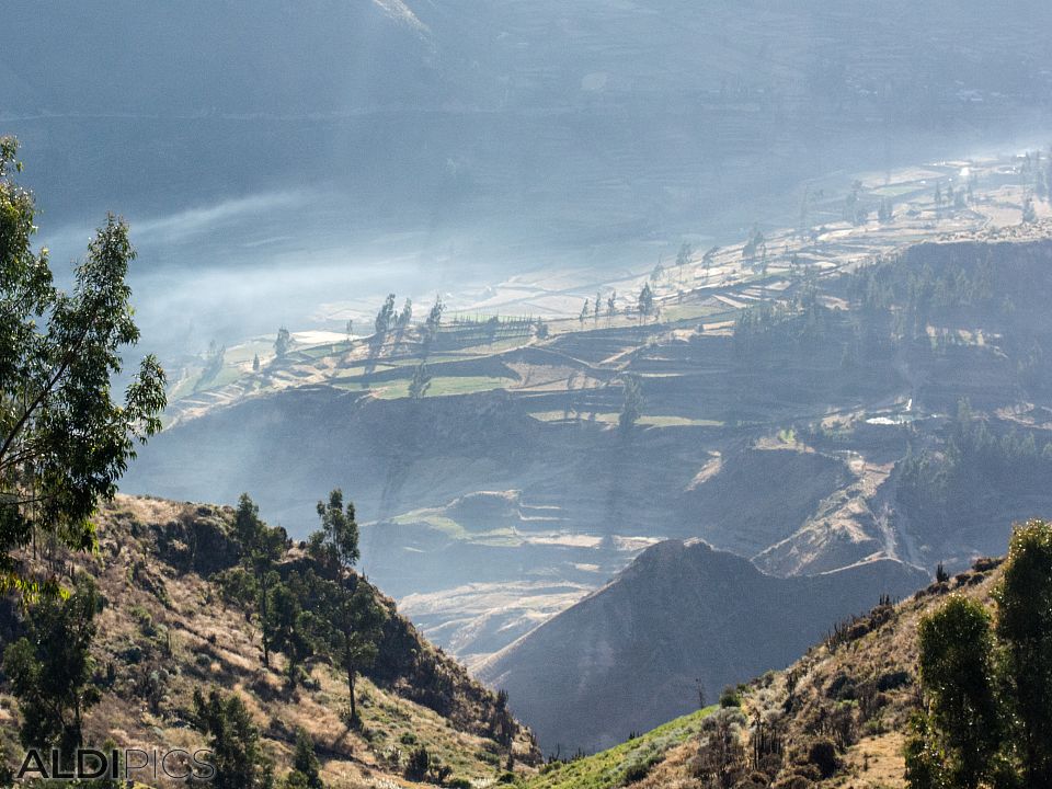 Colca canyon