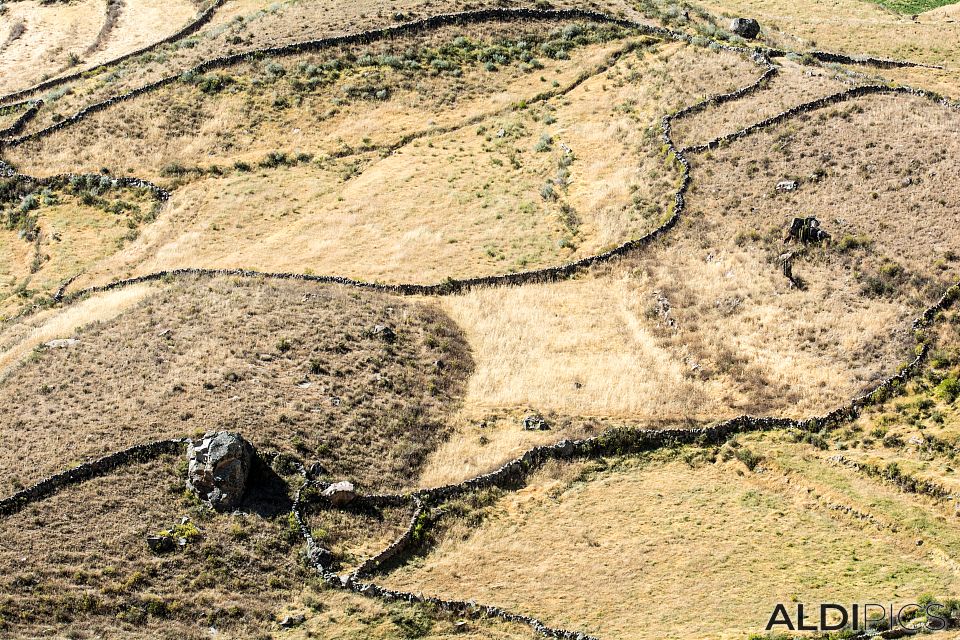 Colca canyon