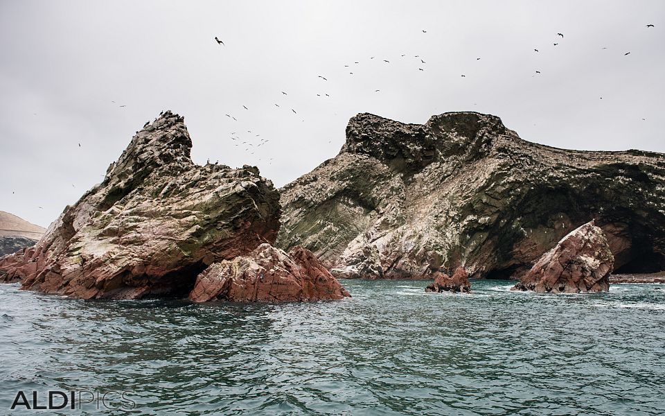 Coast of Peru