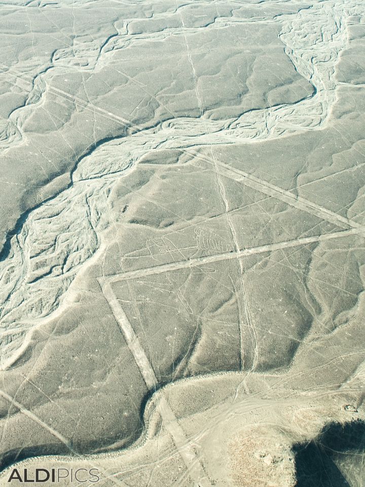 Nazca